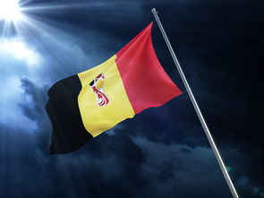 乒乓球赛场焦点！克罗地亚队对阵比利时队，关键一战，双方鏖战至最后一刻